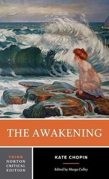 The Awakening (Norton Critical Edition, Band 3)