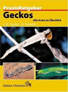 Geckos. Alle Arten im Überblick