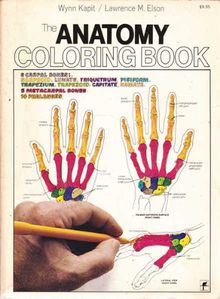 Anatomy Coloring Book