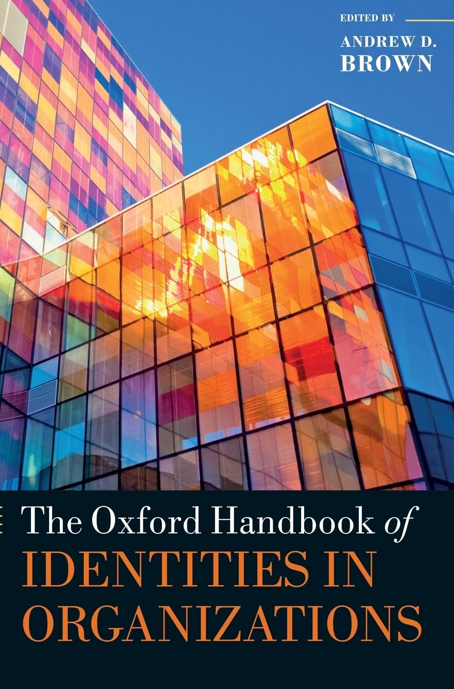 Oxford Handbook of Identities in Organizations (Oxford Handbooks)
