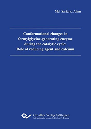 Conformational changes in formylglycine-generating enzyme during the catalytic cycle: Role of reducing agent and calcium