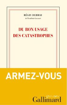 Du bon usage des catastrophes