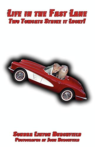 Life in the Fast Lane: Two Tom Cats Strike it Lucky!