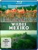 Wildes Mexiko (BBC Earth) [Blu-ray]