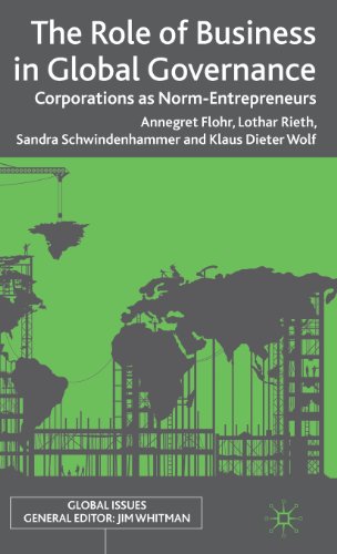 The Role of Business in Global Governance: Corporations as Norm-Entrepreneurs (Global Issues (Palgrave MacMillan))