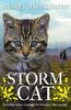 Storm Cat