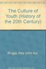 The Culture of Youth (History of the 20th Century)