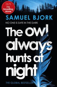 The Owl Always Hunts At Night: (Munch and Krüger Book 2)