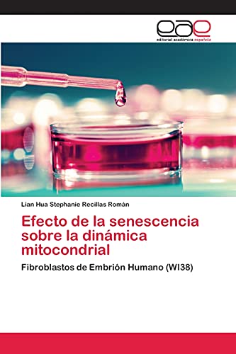 Efecto de la senescencia sobre la dinámica mitocondrial: Fibroblastos de Embrión Humano (WI38)
