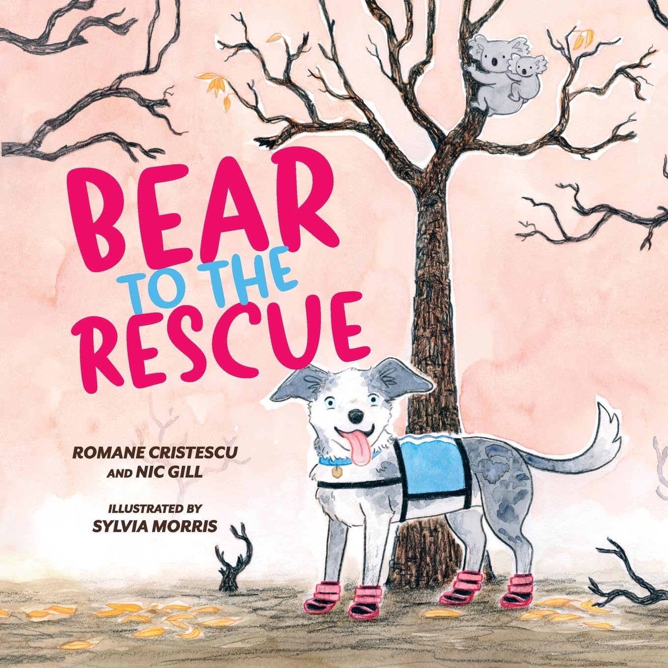 Bear to the Rescue