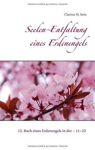 Seelen~Entfaltung eines Erdenengels: 12. Buch eines Erdenengels in der ~ 11~22