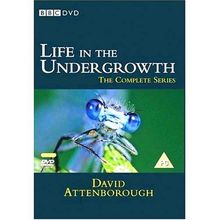 David Attenborough - Life In The Undergrowth [2 DVDs] [UK Import]