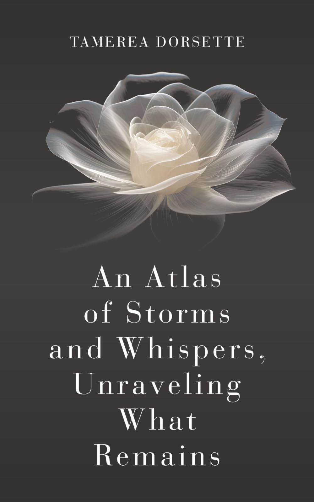 An Atlas of Storms and Whispers, Unraveling What Remains