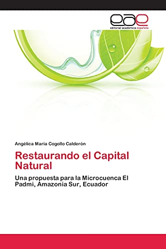 Restaurando el Capital Natural: Una propuesta para la Microcuenca El Padmi, Amazonía Sur, Ecuador