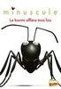 Glenat Poche - Minuscule T03 : La fourmi sifflera trois fois