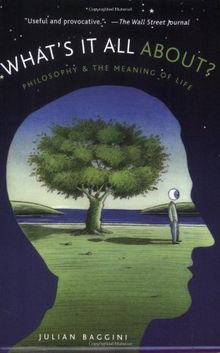 What's It All About?: Philosophy and the Meaning of Life