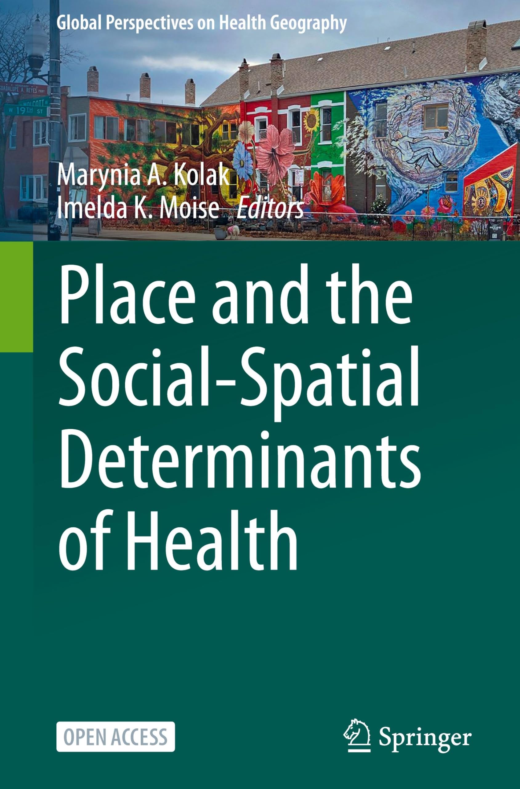 Place and the Social-Spatial Determinants of Health (Global Perspectives on Health Geography)