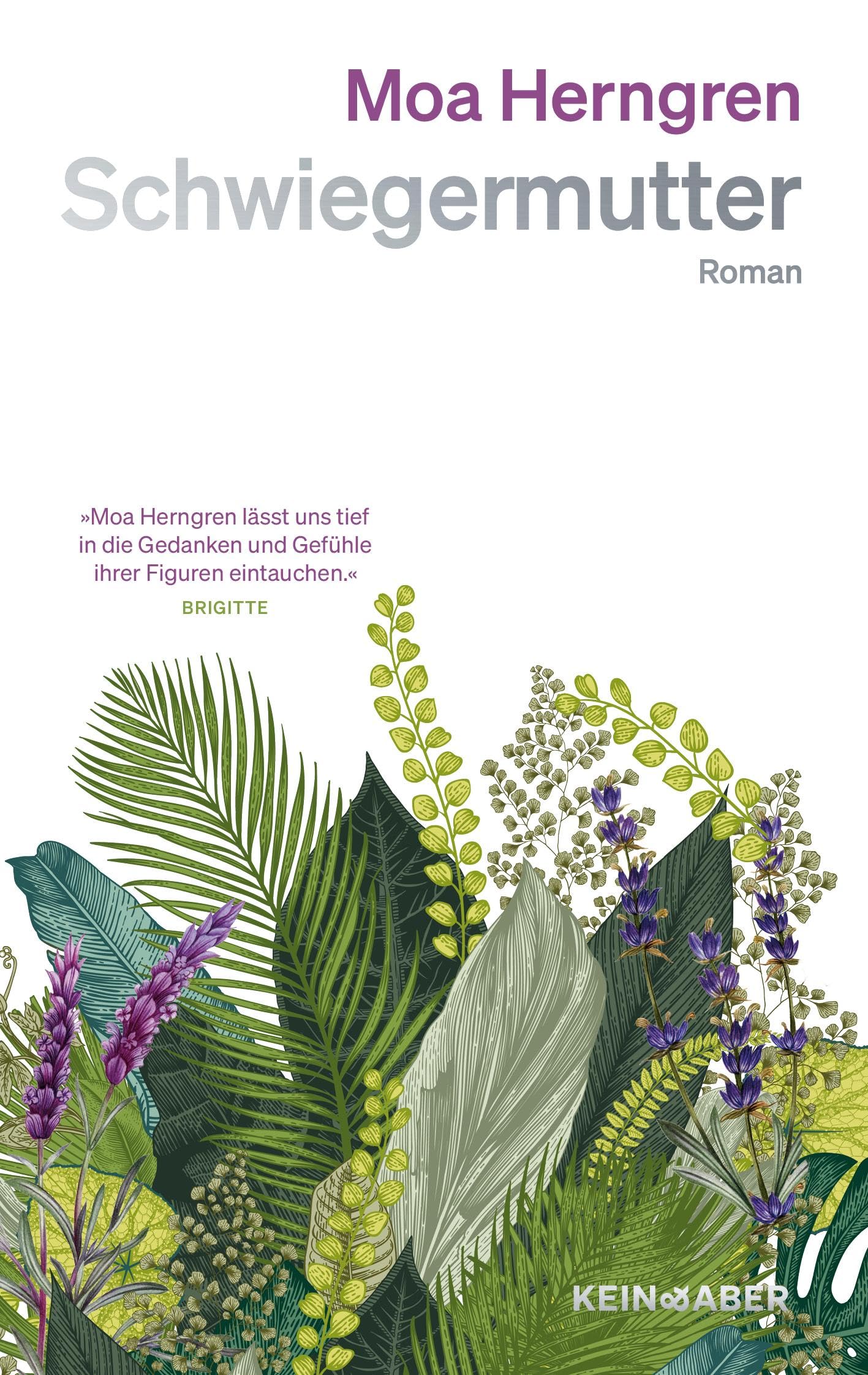 Schwiegermutter: Roman | Bestseller aus Schweden | Beziehungsdrama