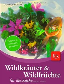 Wildkräuter & Wildfrüchte für die Küche: Erkennen, sammeln, genießen