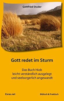 Gott redet im Sturm: Das Buch Hiob leicht verständlich ausgelegt und seelsorgerlich angewandt (Biblisch & Praktisch)