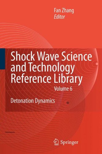 Shock Waves Science and Technology Library, Vol. 6: Detonation Dynamics (Shock Wave Science and Technology Reference Library)