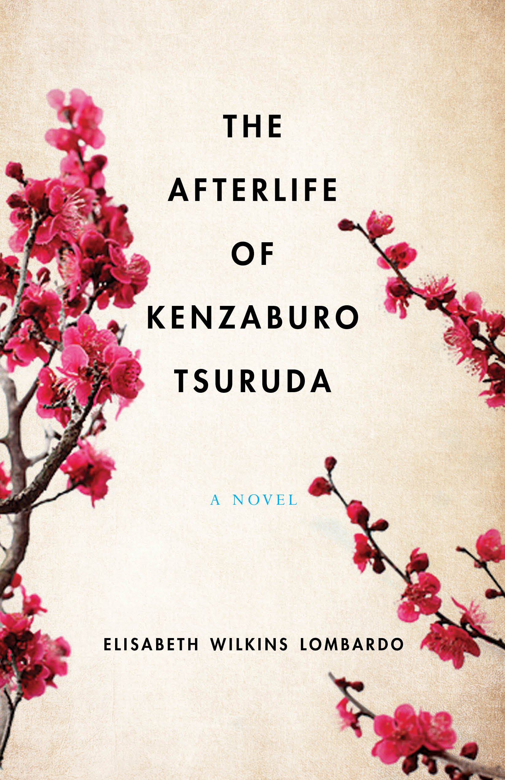Afterlife of Kenzaburo Tsuruda: A Novel