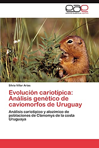 Evolución cariotípica: Análisis genético de caviomorfos de Uruguay: Análisis cariotípico y alozímico de poblaciones de Ctenomys de la costa Uruguaya