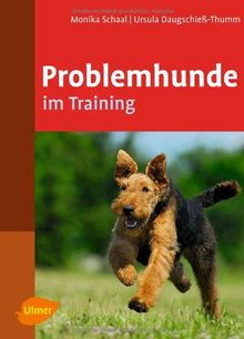 Problemhunde im Training