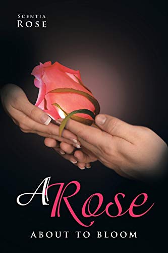 A Rose About to Bloom