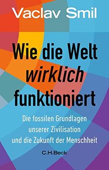 Wie die Welt wirklich funktioniert: Die fossilen Grundlagen unserer Zivilisation und die Zukunft der Menschheit (Beck Paperback)