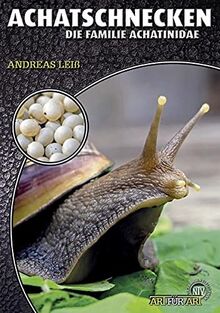 Achatschnecken: Die Familie Achatinidae (Art für Art: Terraristik)
