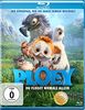 Ploey - Du fliegst niemals allein [Blu-ray]