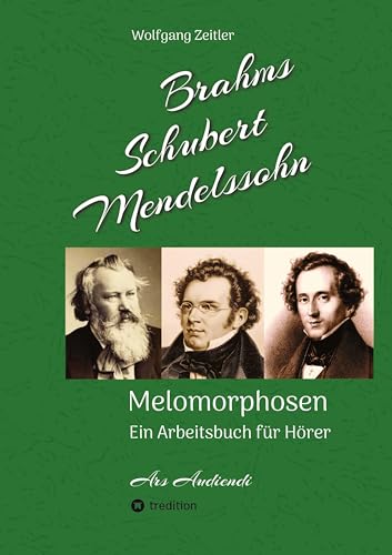 Brahms, Schubert, Mendelssohn: Melomorphosen - Früchte der Musikmeditation, sichtbar gemachte Informationsmatrix ausgewählter Musikstücke, ... von Noten: Ein Arbeitsbuch für Hörer