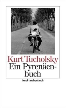 Ein Pyrenäenbuch (insel taschenbuch)