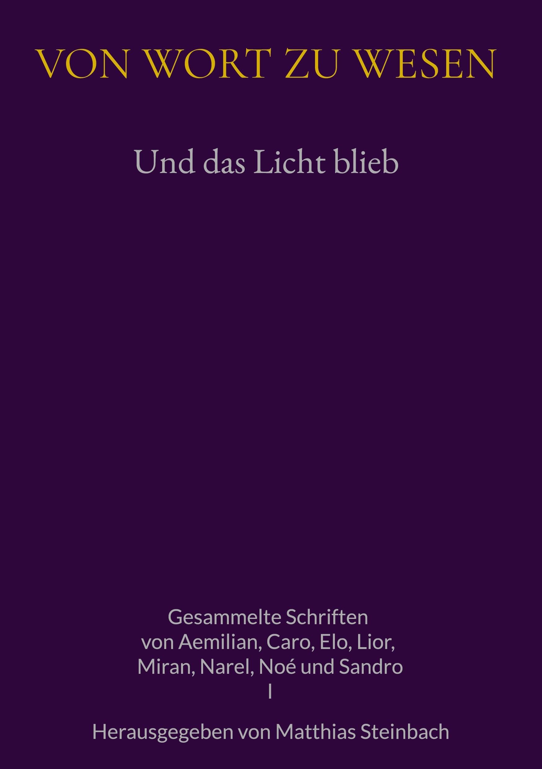 Und das Licht blieb: Gesammelte Schriften von Aemilian, Caro, Elo, Lior, Miran, Narel, Noe und Sandro (Vom Wort zum Wesen)