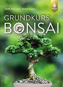 Grundkurs Bonsai