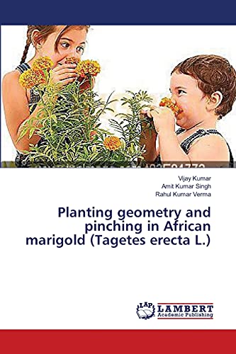 Planting geometry and pinching in African marigold (Tagetes erecta L.)