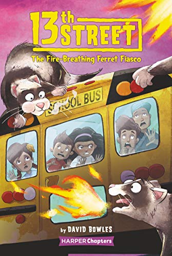 13th Street The Fire-Breathing Ferret Fiasco - David Bowles Kartoniert (TB)