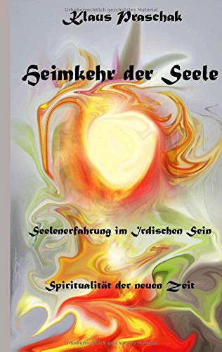 Heimkehr der Seele: Seelenerfahrung im irdischen Sein
