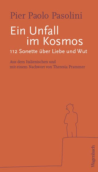 Ein Unfall im Kosmos - 112 Sonette (Quartbuch)