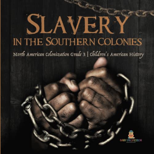 Slavery in the Southern Colonies North American Colonization Grade 3 Children's American History