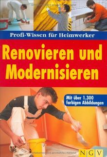 Renovieren und Modernisieren: Profi-Wissen für Heimwerker