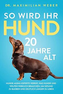 So wird Ihr Hund 20 Jahre alt: Hunde-Aging-Experte verrät, was Hunde und Welpen wirklich brauchen, um gesund zu bleiben und deutlich länger zu leben