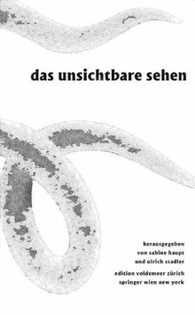 Das Unsichtbare sehen: Bildzauber, optische Medien und Literatur (Edition Voldemeer Zürich)