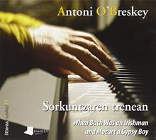 Sorkuntzaren trenean : when Bach was an irishman and Mozart a gypsy boy (Phonogauzak, Band 11)