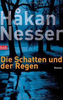 Die Schatten und der Regen. Roman