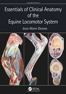 Essentials of Clinical Anatomy of the Equine Locomotor System