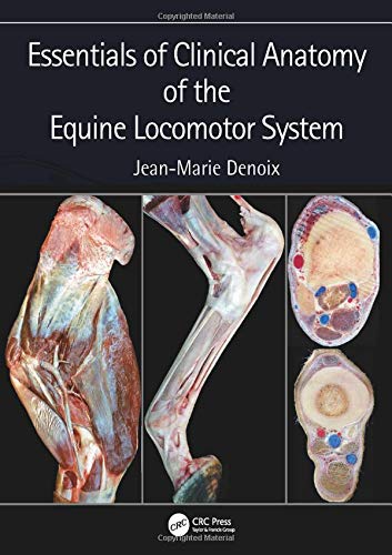 Jean-Marie Denoix Essentials Of Clinical Anatomy Of The Equine Locomotor System