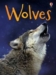 BEG Wolves (Beginners)