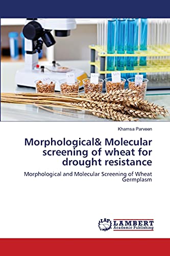 Morphological& Molecular screening of wheat for drought resistance: Morphological and Molecular Screening of Wheat Germplasm